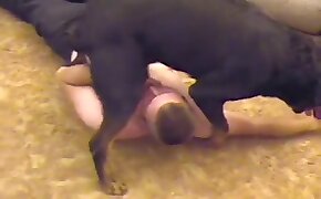 zoophilia with blowjob, animal sex porn