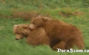 sexy zoophile babes, free zoofilia video