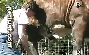 beastiality sex free videos, outdoors beastiality scenes