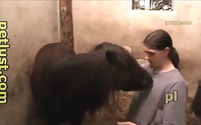 dudes zoophiles, gay animal sex videos