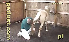 pussy fuck with animal, animal sex porn