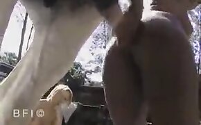 close up zoo porn scenes, horse porn videos