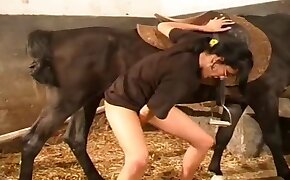 horse porn videos, human fucks with animal