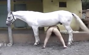 horse porn videos, human fucks with animal