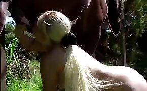 zoophilia with blowjob, horse porn videos