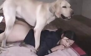 hd, free zoofilia video