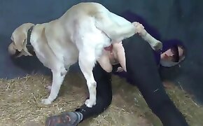 free zoofilia video, animal sex porn