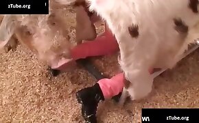 animals and women videos, horny girls with animals