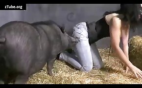 hottie, anal fuck with animals