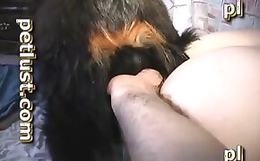 engages, anal fuck with animals