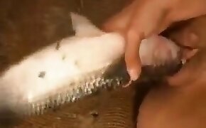 stunning, free zoofilia video