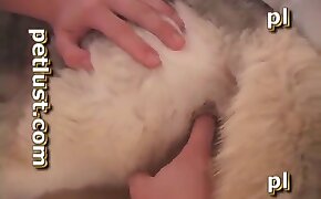 fingering, pussy fuck with animal
