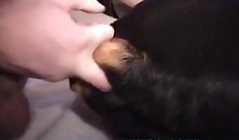 eläinporno xxx leikkeet, petopornoa