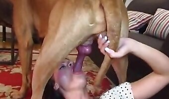 intense fucking, sex with animals
