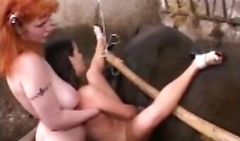 klipy xxx ze zwierzęcym porno, bestiaporno