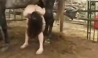brezplačni spolni video o bestialnosti, videoposnetki o zoofiliji v visoki ločljivosti