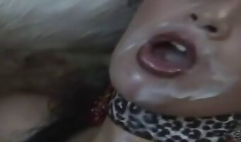 คลิปโป๊สัตว์ xxx, สัตว์โป๊