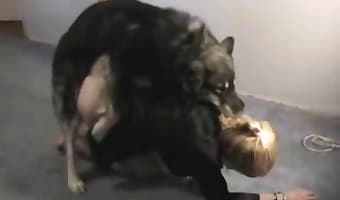 animal porn xxx clips, sexy blondes