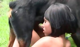 vagina, zoosex