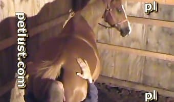 sex with brutal beasts, blowjob