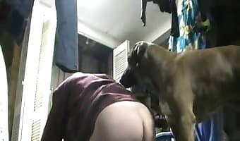 man and animal porn, fucks