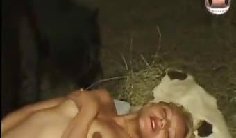 بهيمية, ممارسة الجنس في الهواء الطلق