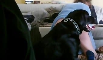 beastporn, amateur dog sex
