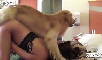 zoo-sex-porno, amateur-hundesex