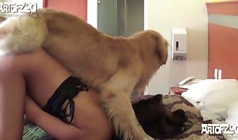 zoosex, amateur dog sex