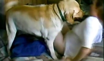 Girl and dog sex in the bedroom