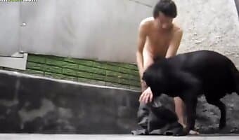 fucking, zoosex
