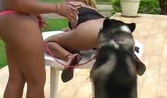 zoo-sex-porno, amateur-hundesex