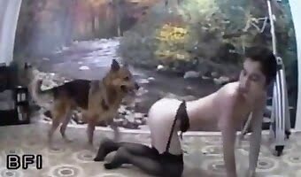 beastporn, canine porn video