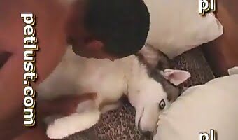 bestialske scener, fuck