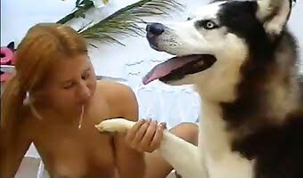 グループセックス, 動物愛護家