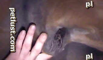 man and animal porn, horny fucking