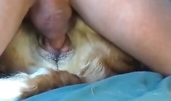 حقًا, زووسكس