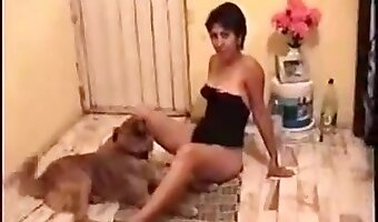 وحش بورنوجرافي, ممارسة الجنس مع الكلاب للهواة