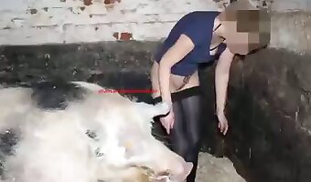 sex with pig, zoosex