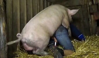 زووسكس, الجماع العنيف