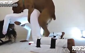 sex with animals, dog porn