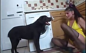 dog porn, sex with animals