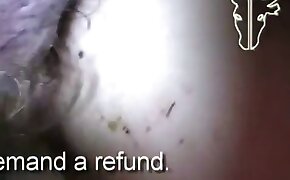porno zoofilia, beastiality tube