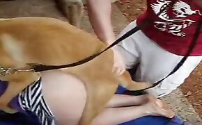 beastiality fuck video, dog porn