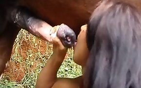 videos zoofilia, sex with animals