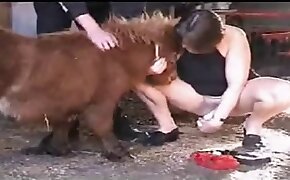 girl fucks animal, beastiality fuck video