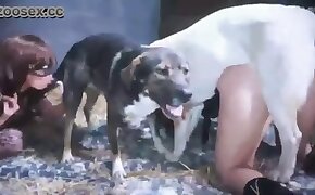 animal sex video, porno zoofilia