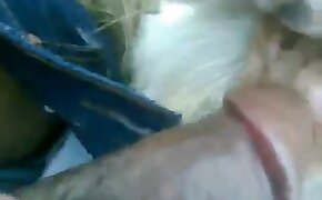 beastiality porn videos, animal sex video