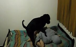 zoo porn videos, porno zoofilia