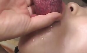beastiality porn, sex with animals